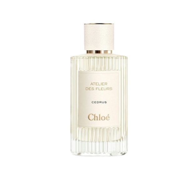 Cedrus Chloé